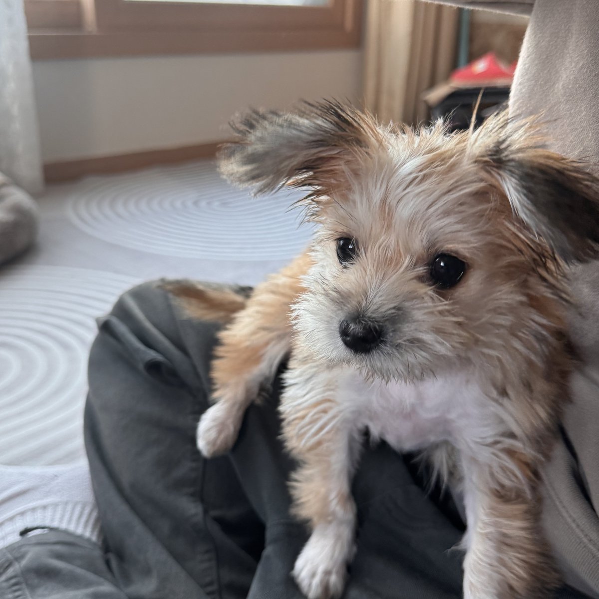 HaruDiary1102's tweet image. 하루의 인생네컷