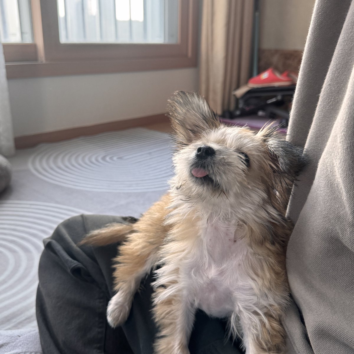 HaruDiary1102's tweet image. 하루의 인생네컷