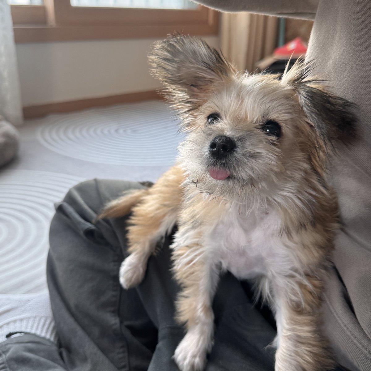 HaruDiary1102's tweet image. 하루의 인생네컷