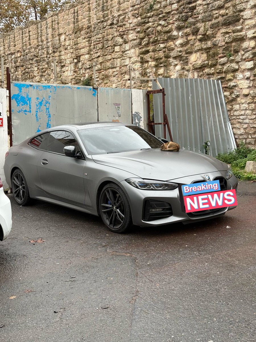 Sü diyo ama Messici tweet media