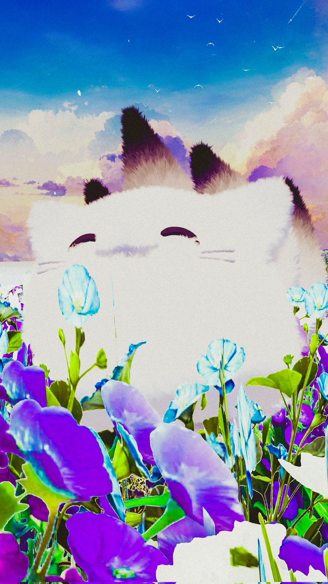 もふもふページ もふもふもふもふもふもふ