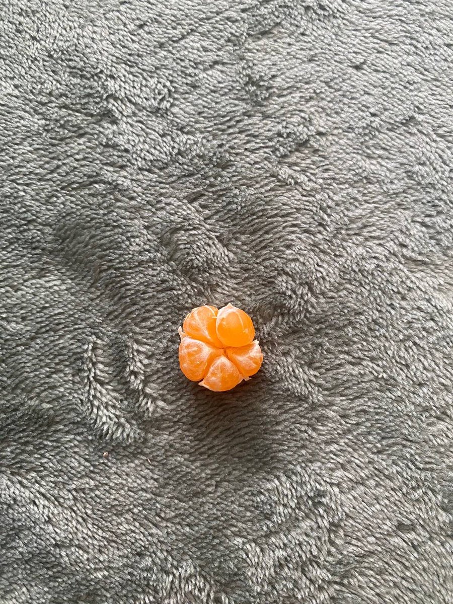 نارنگی باردار دیده بودین😫؟