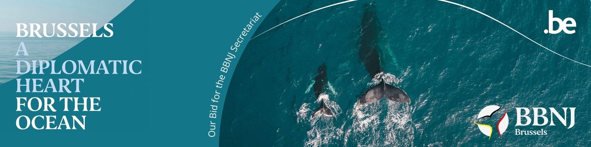 🇧🇪🌊 Belgium has officially submitted its candidacy to host the #BBNJ Secretariat in Brussels.

Belgium stands ready to provide a home for the Secretariat in Brussels, a global hub of diplomacy, science and multilateral cooperation.