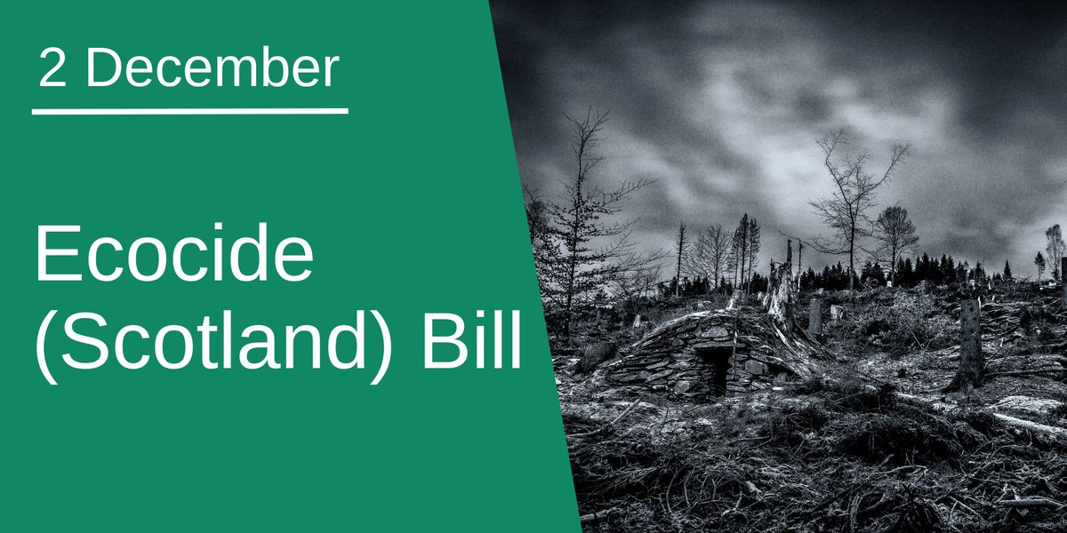 SP_NetZero's tweet image. Join us as we take evidence from the Cabinet Secretary for Climate Action &amp;amp; Energy @GillianMSP &amp;amp; officials on the Ecocide (Scotland) Bill @ Stage 1.

Tomorrow @ 9.15am 👉ow.ly/6Yme50Xz0oK