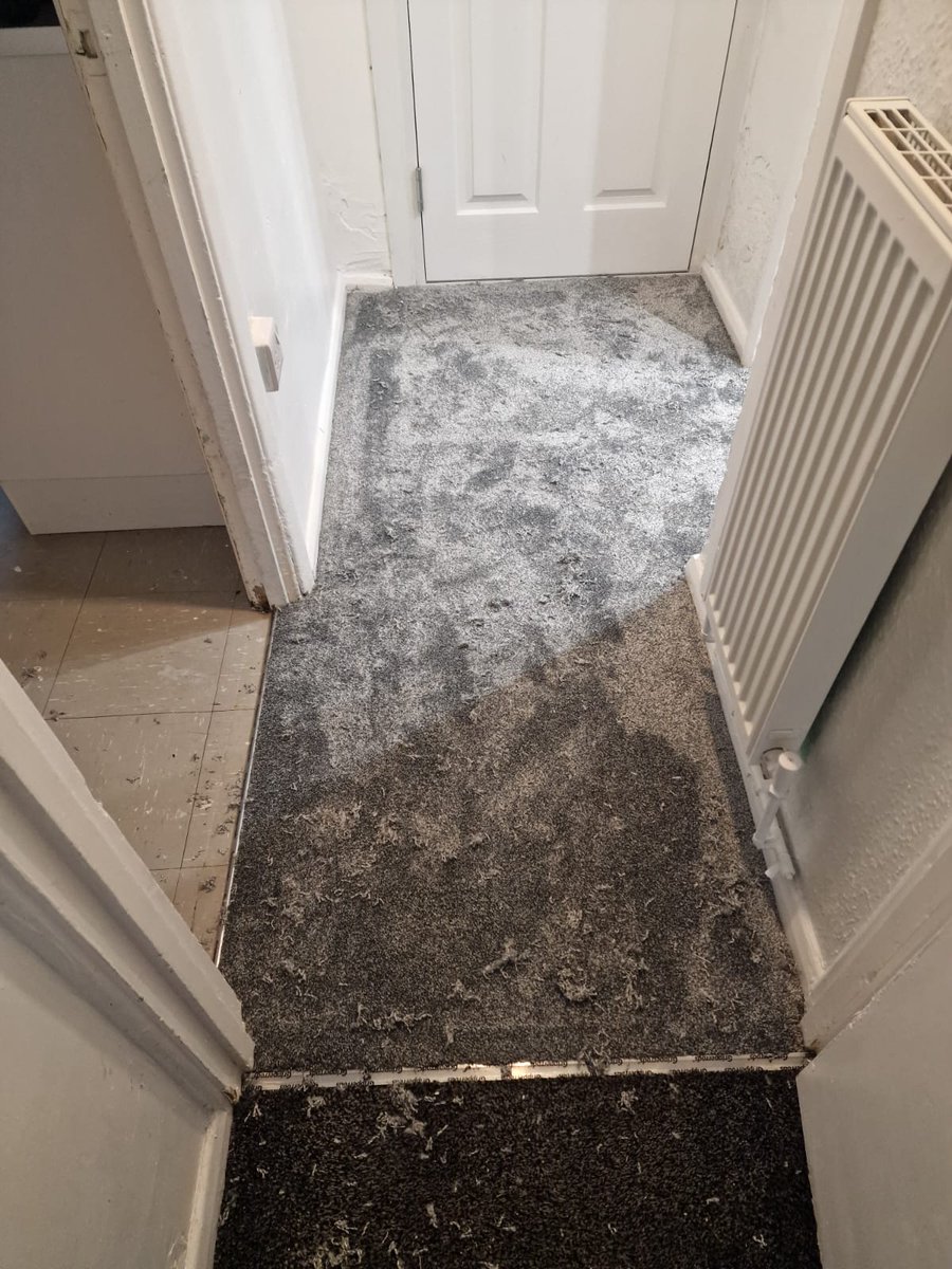 Charnwoodfloor's tweet photo. The job was tiny but the impression we left was immense. Every job is important, every client is equally as important. With @WUnderlays & our service customers will always have exceptional comfort underfoot. #Carpet #Flooring #Loughborough #Charnwood https://t.co/uryNP8X7PT