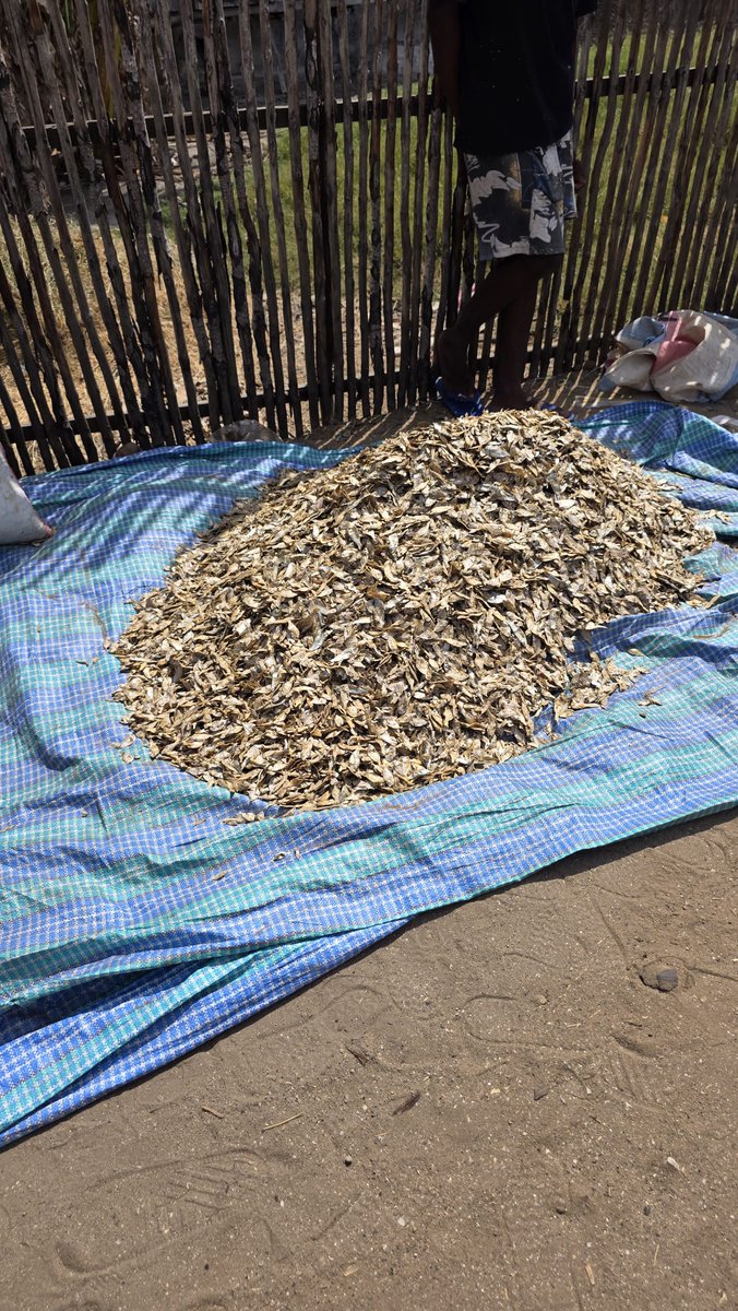 Tirgus ainas Morandavā. PVD, lūdzu, neskatīties. Gaisa tempertūra ap +30. Foto: Juris Stokmanis-Blaus