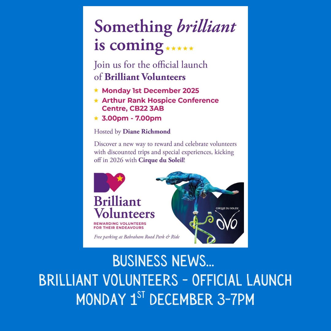 thelisting tweet media