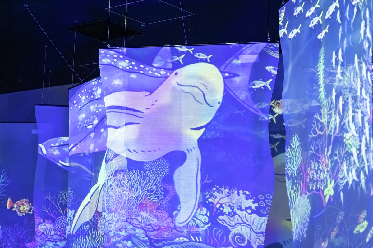 ネコ山🐾🍪 (@UZzUIuPLxNRpXa2) / Posts / X