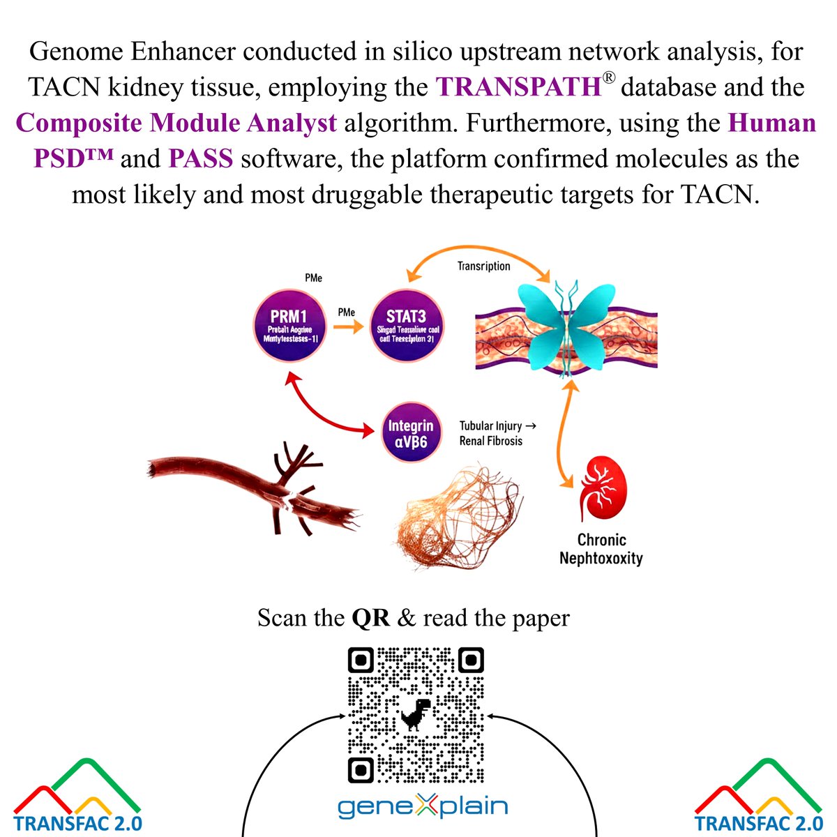 geneXplain's tweet image. Novel Therapeutic Targets in Chronic Kidney Disease: geneXplain&apos;s Trans-Omics Powering Breakthrough Research. The integrated multi-omic results led to the proposal of a novel pathogenic mechanism: the &apos;PRMT1-STAT3-Integrin αVβ6 axis&apos;.
#geneXplain #Bioinformatics #TransOmics #Drug