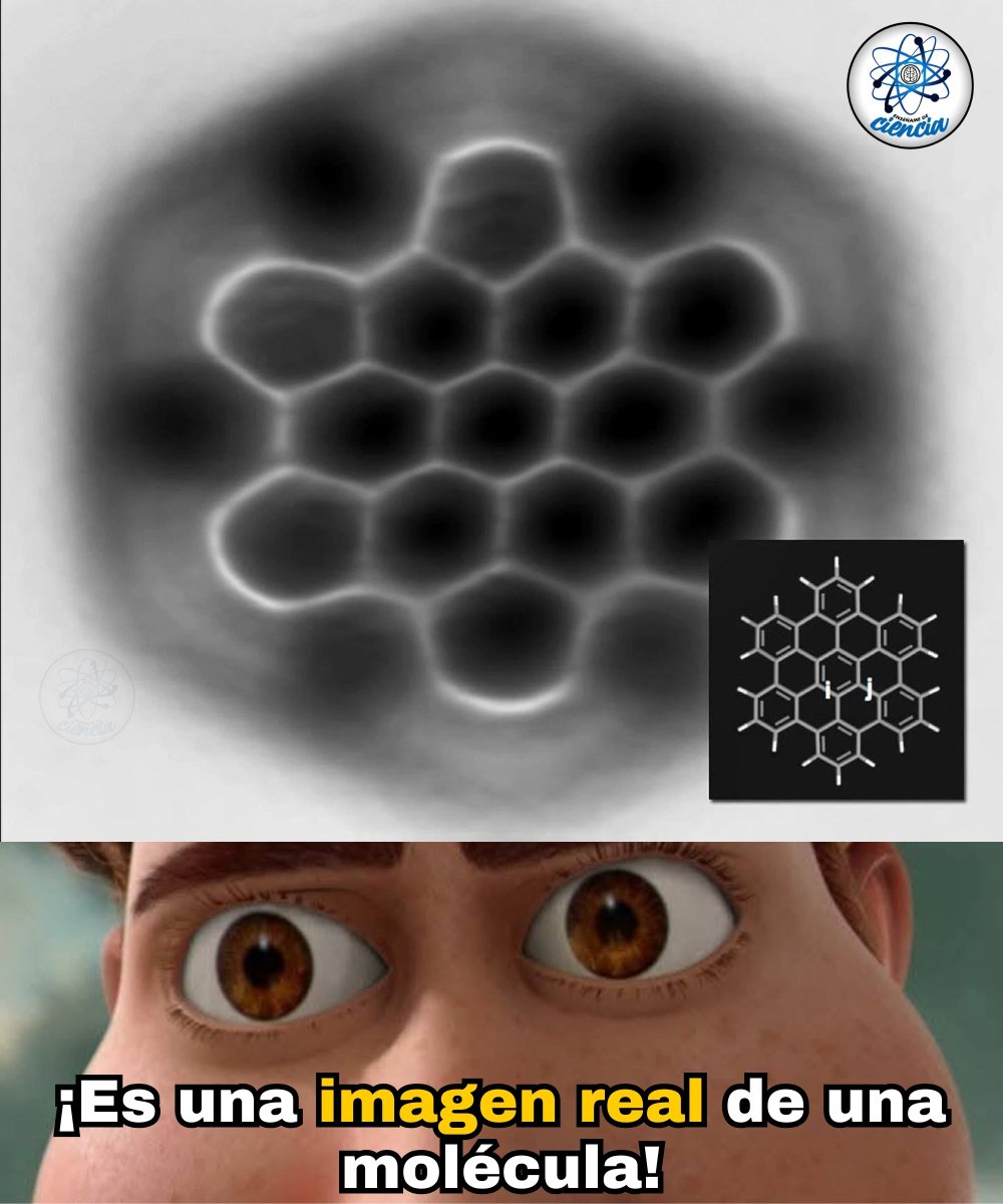 EnsedeCiencia's tweet photo. Lo que podemos observar aquí es una imagen experimental auténtica de una molécula de nanografeno obtenida mediante un microscopio de fuerza atómica de alta resolución, desarrollada por investigadores de IBM Research – Zurich.

Este tipo de imágenes marcan un avance significativo en la caracterización de moléculas individuales, demostrando que es posible observar directamente su estructura interna, más allá de modelos computacionales o representaciones esquemáticas.

La imagen ilustra la estructura de la molécula de nanografeno individual y también cómo se unen los átomos. ¡Esos son átomos de carbono!