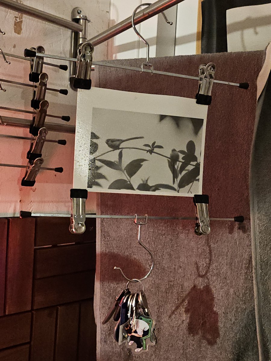 𝐃𝐄𝐕𝐎𝐍™ tweet media