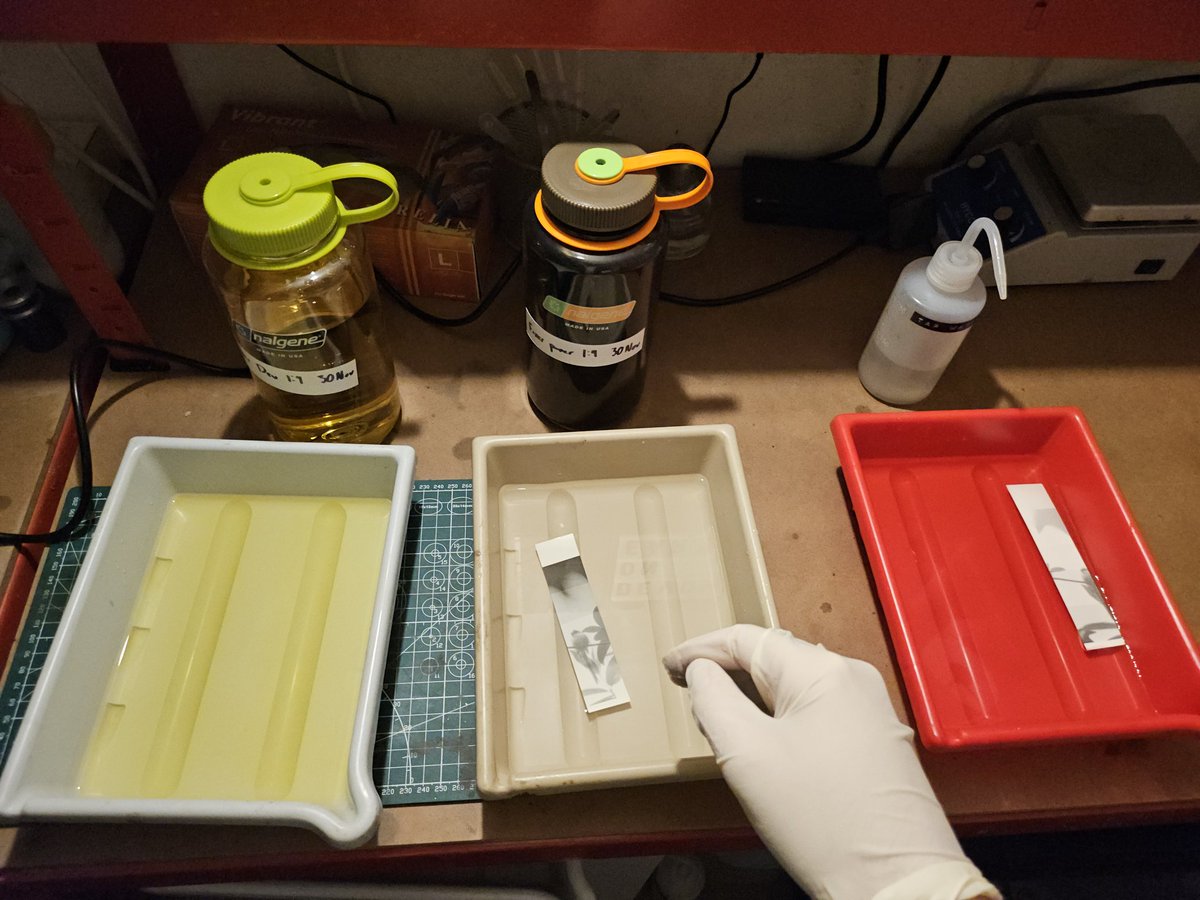 𝐃𝐄𝐕𝐎𝐍™ tweet media