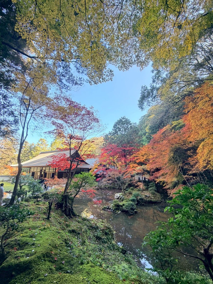 韓国からの京都行ってて&amp;TEAMまるごとわかりません🤣🍁

眠すぎる🍁🍁🍁
紅葉綺麗だったよぉ〜幸せ😝

パワフルな1週間だた…🤪