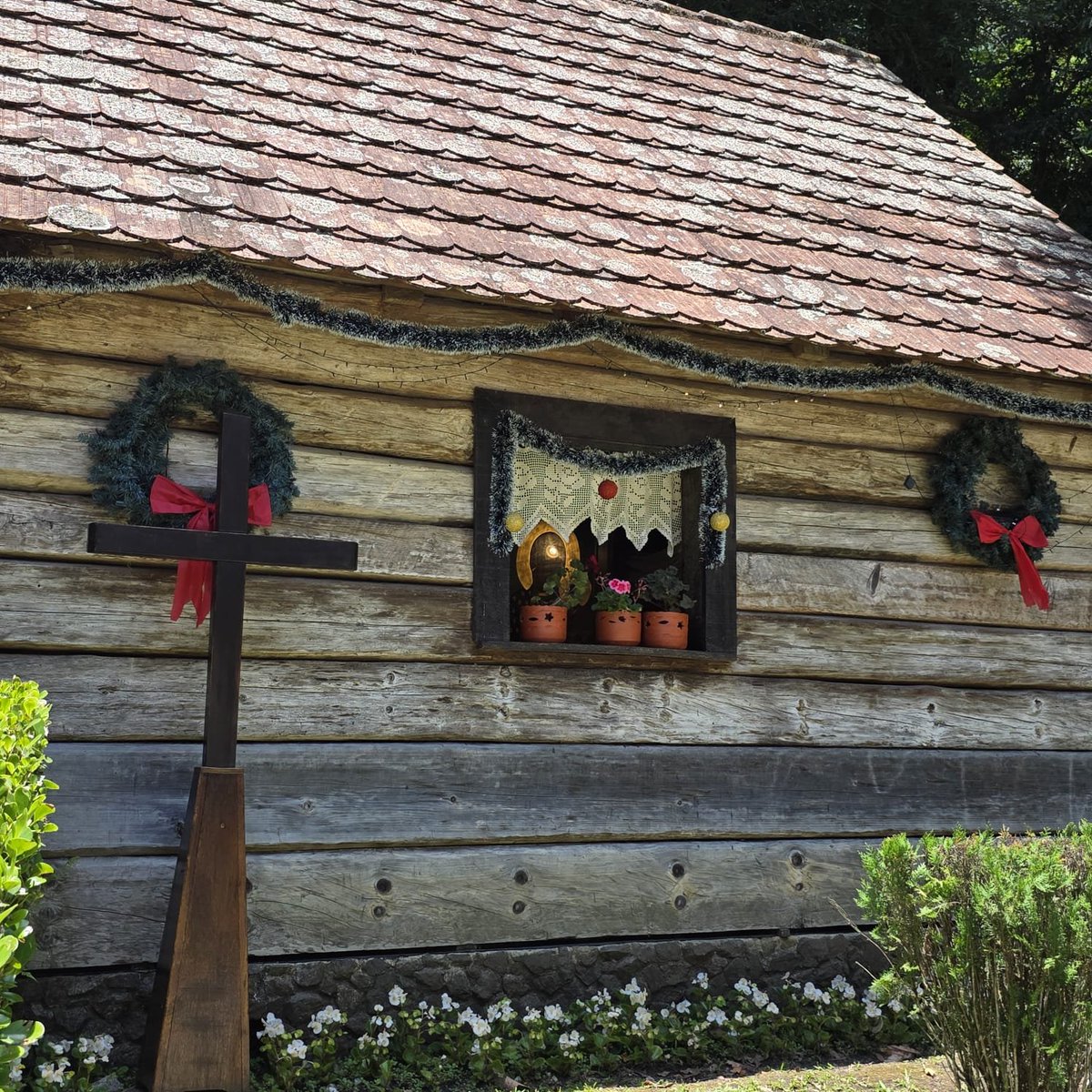 AnaMoretto4's tweet image. #AlphabetChallenge #WeekWforWindows 

#Christmas2025 ❤️

Bosque do Papa, Curitiba PR, Brasil.