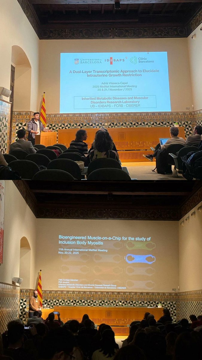 MitoMetLab tweet media