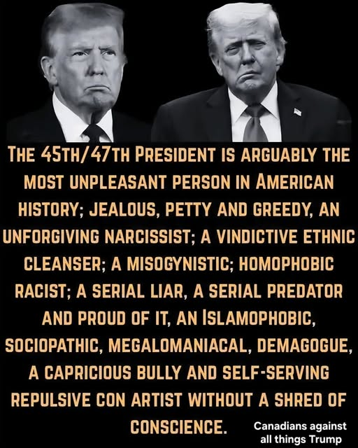 BARB59 / CANADA 🇺🇦 #FvckTrump #DemCast (@abrosnikoff) on Twitter photo 