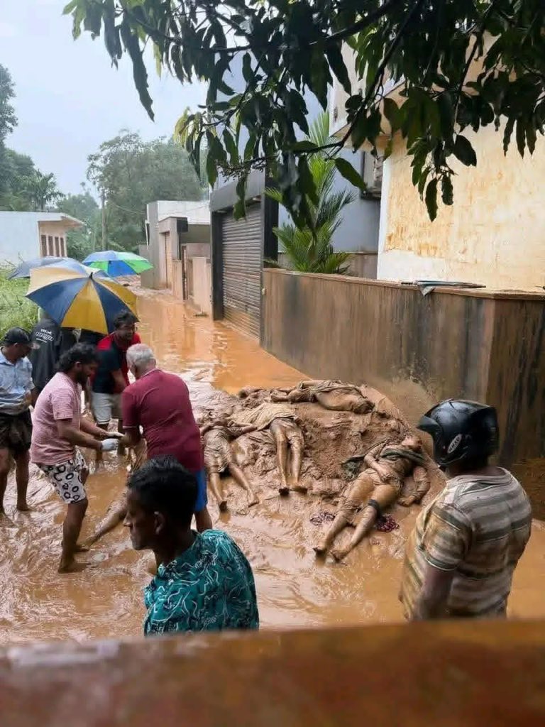 100 Days of AKD tweet media