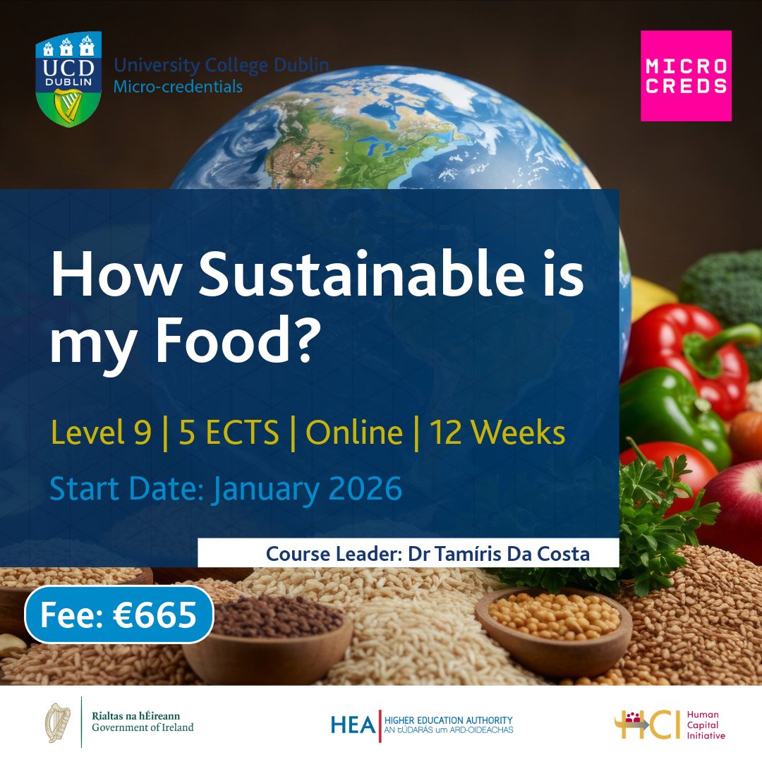 IKC3 Project tweet media