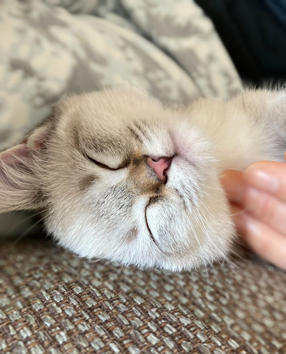 まるママ (@maruchannel0820) / Posts / X