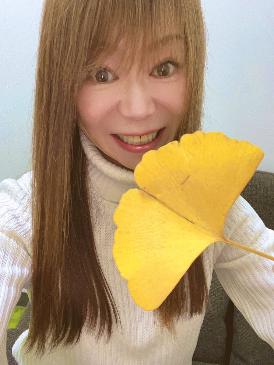 こんばんは☆
12月ですね！あまり感覚がないですが😅
私の手よりも、大きな銀杏の葉を見つけました🍁
今週末は、HoNEyFLASH今年最後のイベントです😊✨お待ちしていますー❣️