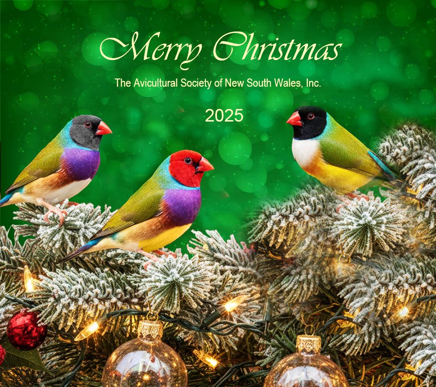 AvicultureNSW's tweet photo. Christmas Party 2nd December 2025 for members and their family.  Members have been emailed the details.  There will be no meeting on the night.  Next meeting 3rd February 2026 https://t.co/KvLNT15JXg