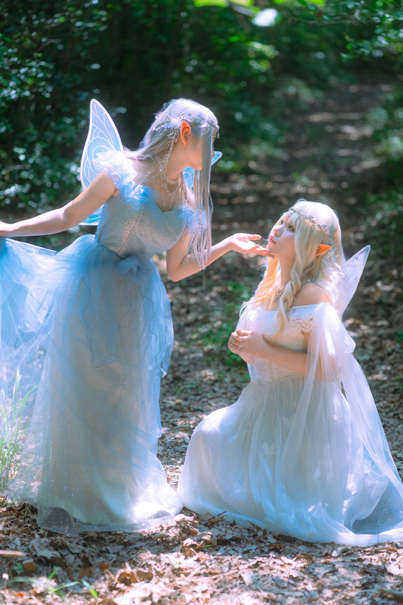 この土地の深奥には エルフたちが棲む森があるという