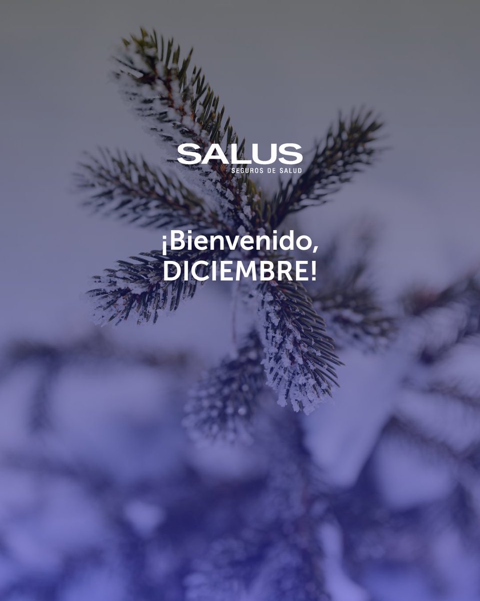 Damos la bienvenida a diciembre, un mes para cerrar etapas, cuidarnos más que nunca y prepararnos para todo lo bueno que viene ✨

Que este mes te encuentre protegido, tranquilo y con bienestar ❄️ 

Diciembre, empezamos contigo 💙

#SalusSegurosDeSalud #Diciembre #Bienestar