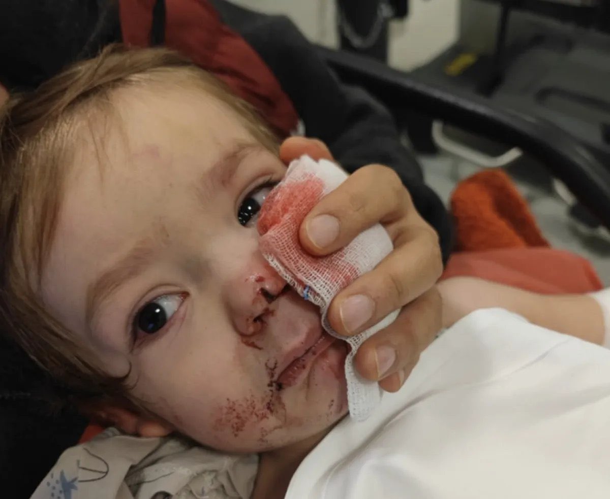 Ülkenin gazetecileri (!) birer fahri veteriner olmuş, gece gündüz başıboş kedi köpeğin, dışkılarının faziletlerini (!) anlatıyor. Bir tanesi de yem fabrikası olan, veteriner kliniği ortaklığı olan, aşı ithalat şirketi olan vekiller konusunda tek bir haber yapmıyor. Yazık bu