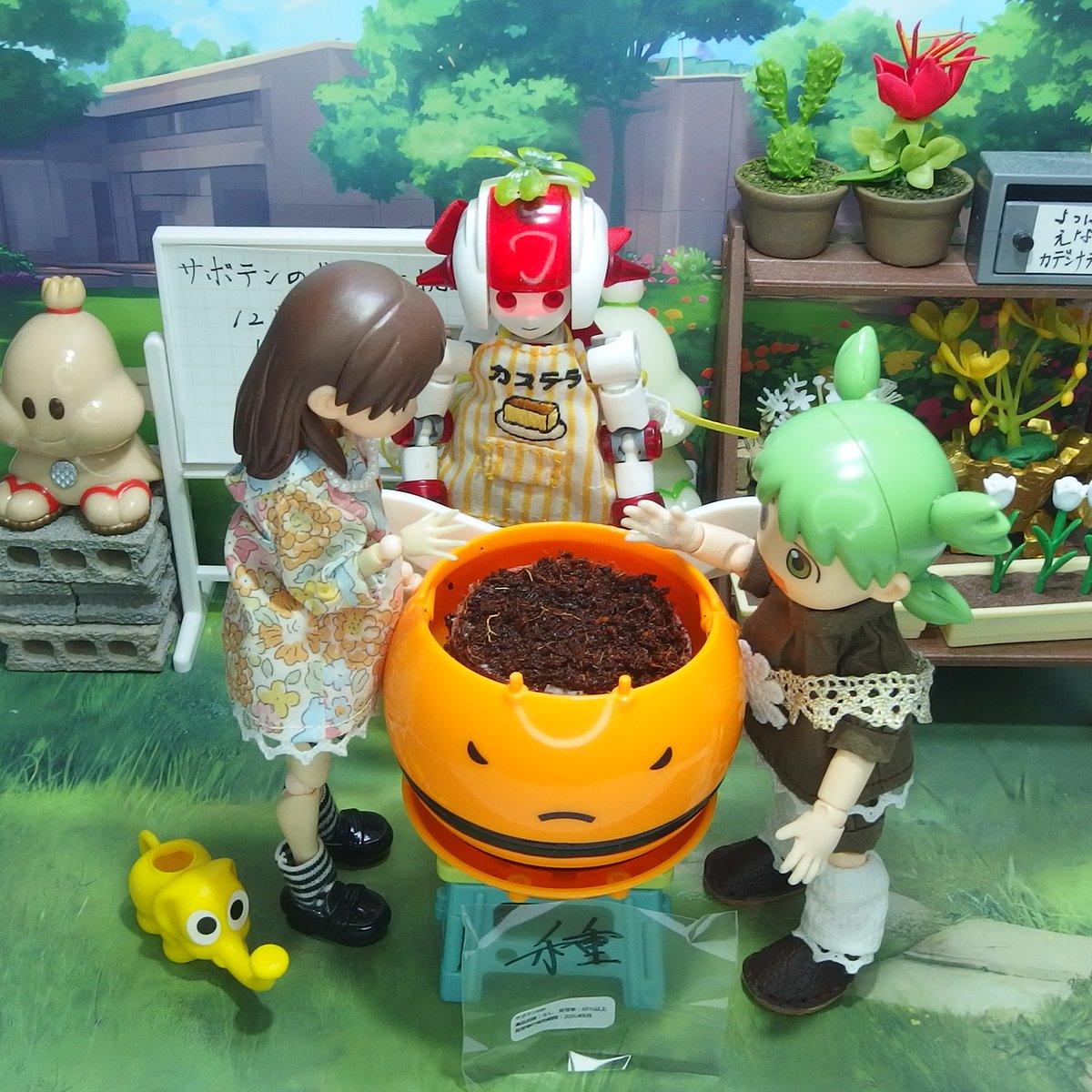 植木蜂 サボテンの種編 今日は25年最後のよつばチャレンジとして