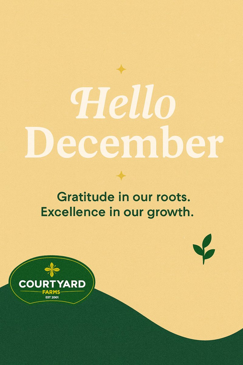 CourtyardL56340's tweet photo. Happy New Month!
From all of us at Courtyard Farms Limited, we wish you a December filled with gratitude, growth, and abundant success. 🌿
#HelloDecember #CourtyardFarms #SeasonOfGratitude #GrowingWithExcellence https://t.co/8qW8STfRL5
