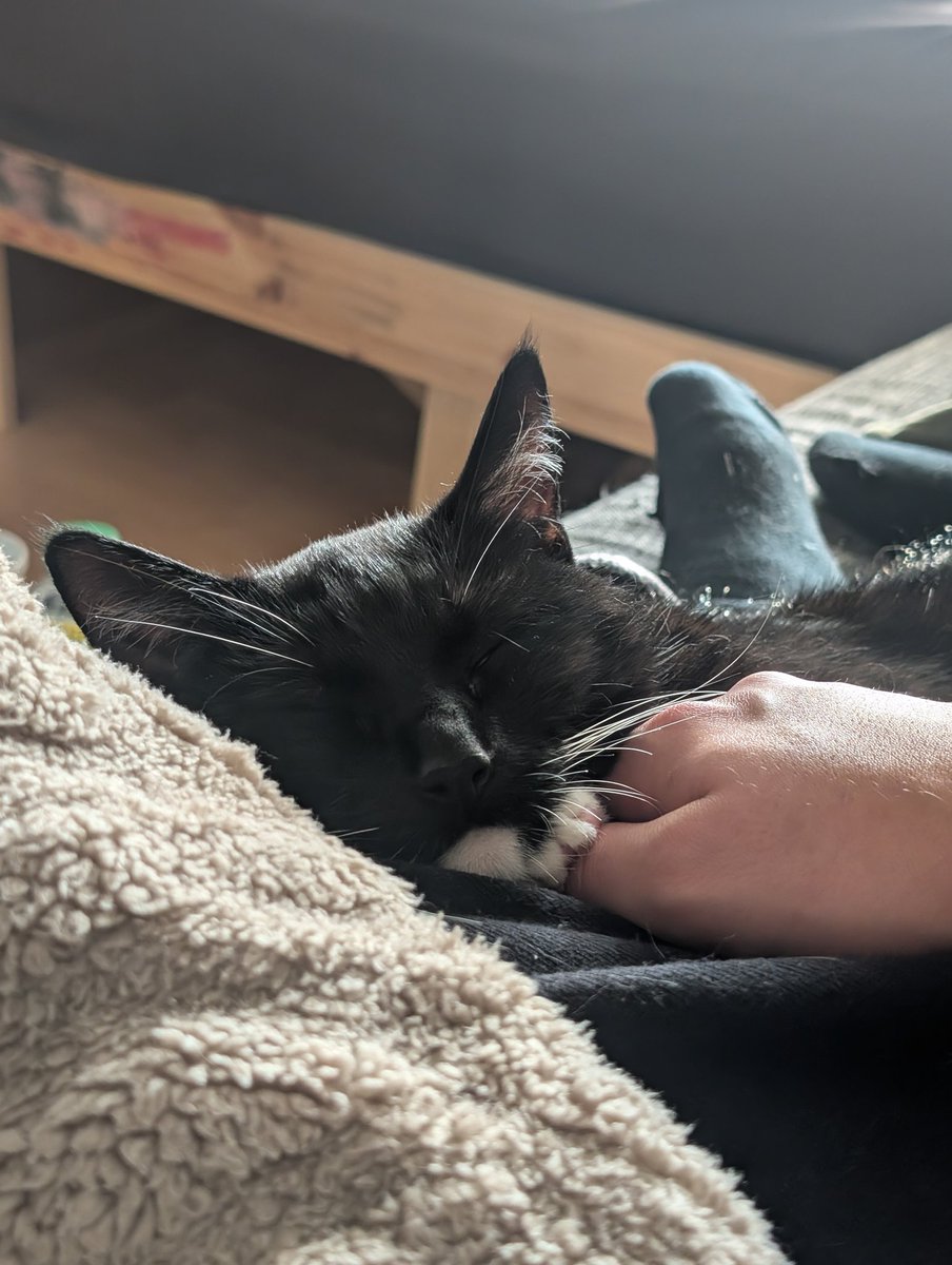 ⛧felipe⛧🚬 (@schlongmaster31) on Twitter photo 