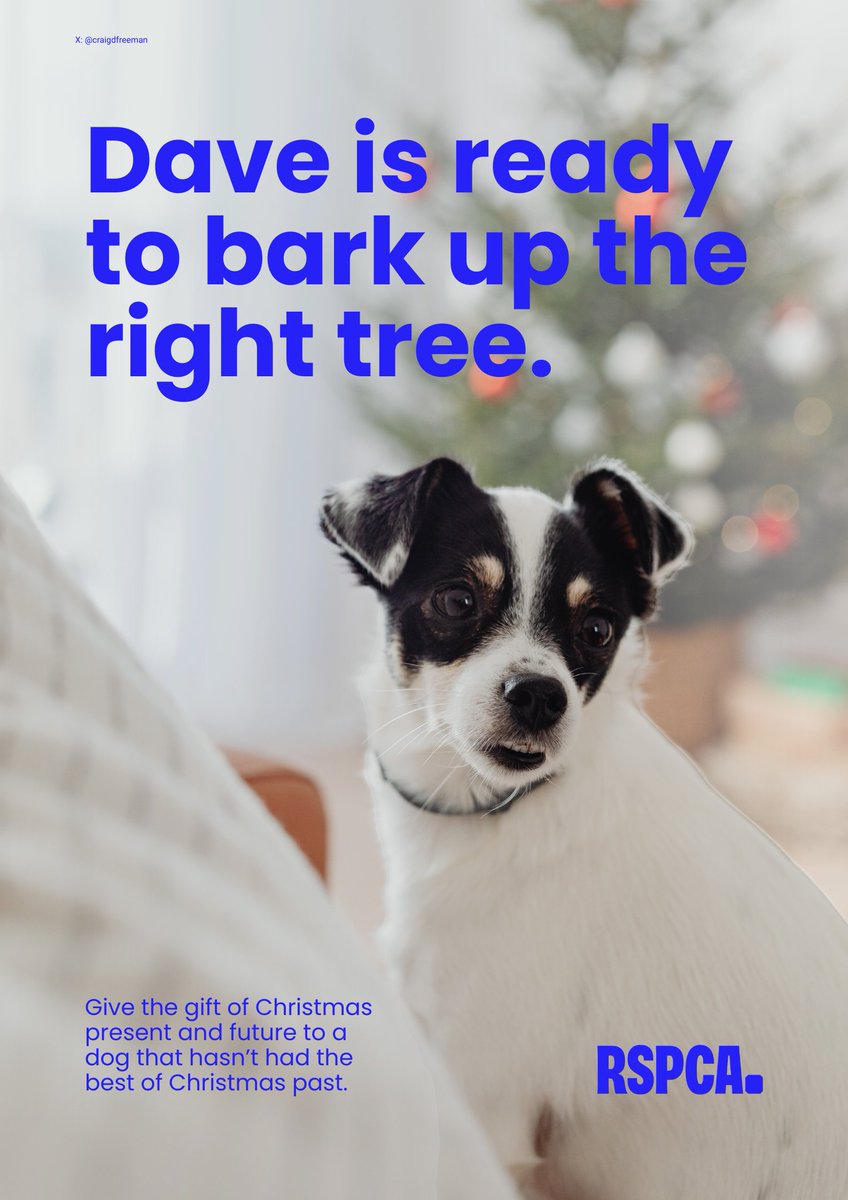 craigdfreeman's tweet photo. Dave is ready to bark up the right tree. @RSPCA_official 

One Minute Brief of the Day - 01/12/25 Create posters to advertise #ChristmasTrees 🎄 https://t.co/Pq99wRymiC
