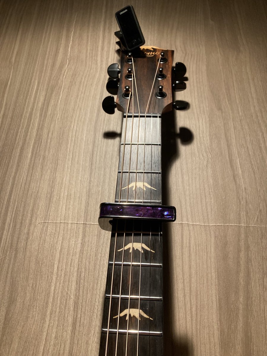 hoppes_atelier's tweet photo. 最近、アコギ熱が高まりBromoというメーカ���のセミアコを購入しました！

今日は注文していたカポ(紫色のやつ)が届いて大満足！！高級感があって良き

頑張って練習しよ〜 https://t.co/nxi35hgKkl