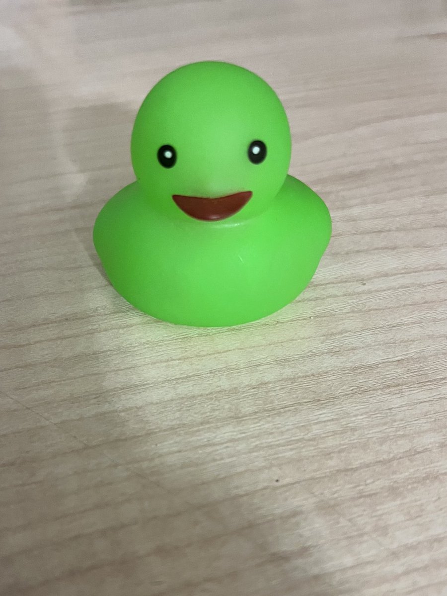 anonymousbread8's tweet image. #joofthemorning #duckoftheday this is so goofy i’m crying