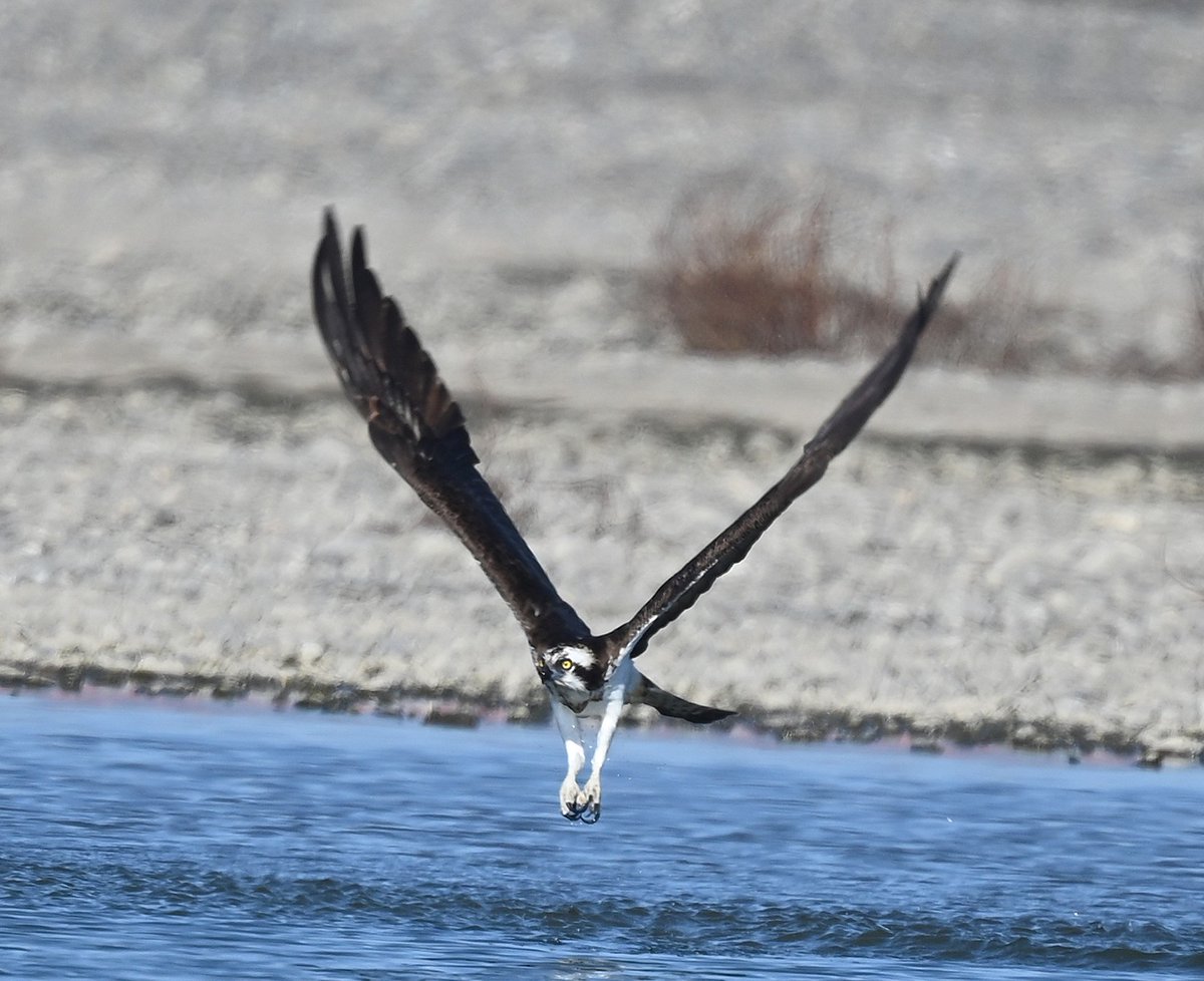 cedar (@HFkyzWaEGt49744) / Posts / X