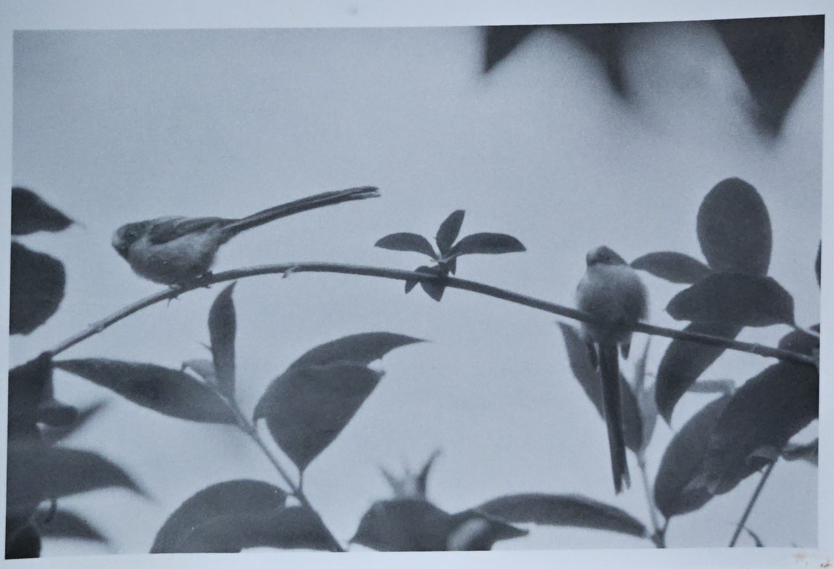 𝐃𝐄𝐕𝐎𝐍™ tweet media