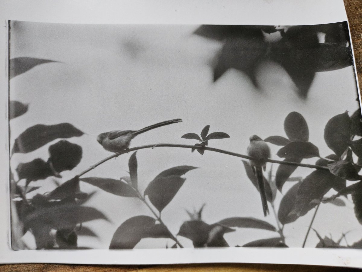 𝐃𝐄𝐕𝐎𝐍™ tweet media