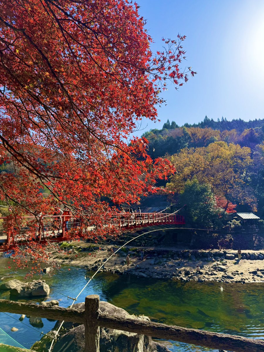 N30_jp's tweet photo. 昨日行った香嵐渓があまりにも良くってずっと写真見返してる笑🍁 https://t.co/s4Pu9Jd2b3