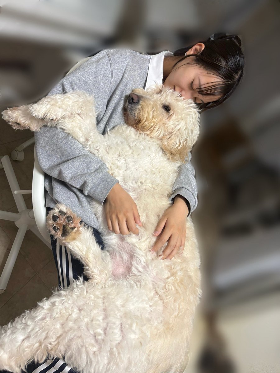 めい めい (@meimei1757) / Posts / X