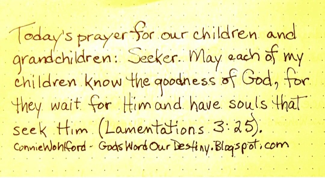 wohlford_connie's tweet photo. Today for our #children and #grandchildren: seeker. 

#seekafterGod #soul #waitonGod #seeker #waitontheLord #goodnessofGod #goodness #seekHim #GodsWordOurDestiny #souls #Lamentations #prayforchildren #soul https://t.co/H80GZg3UO9