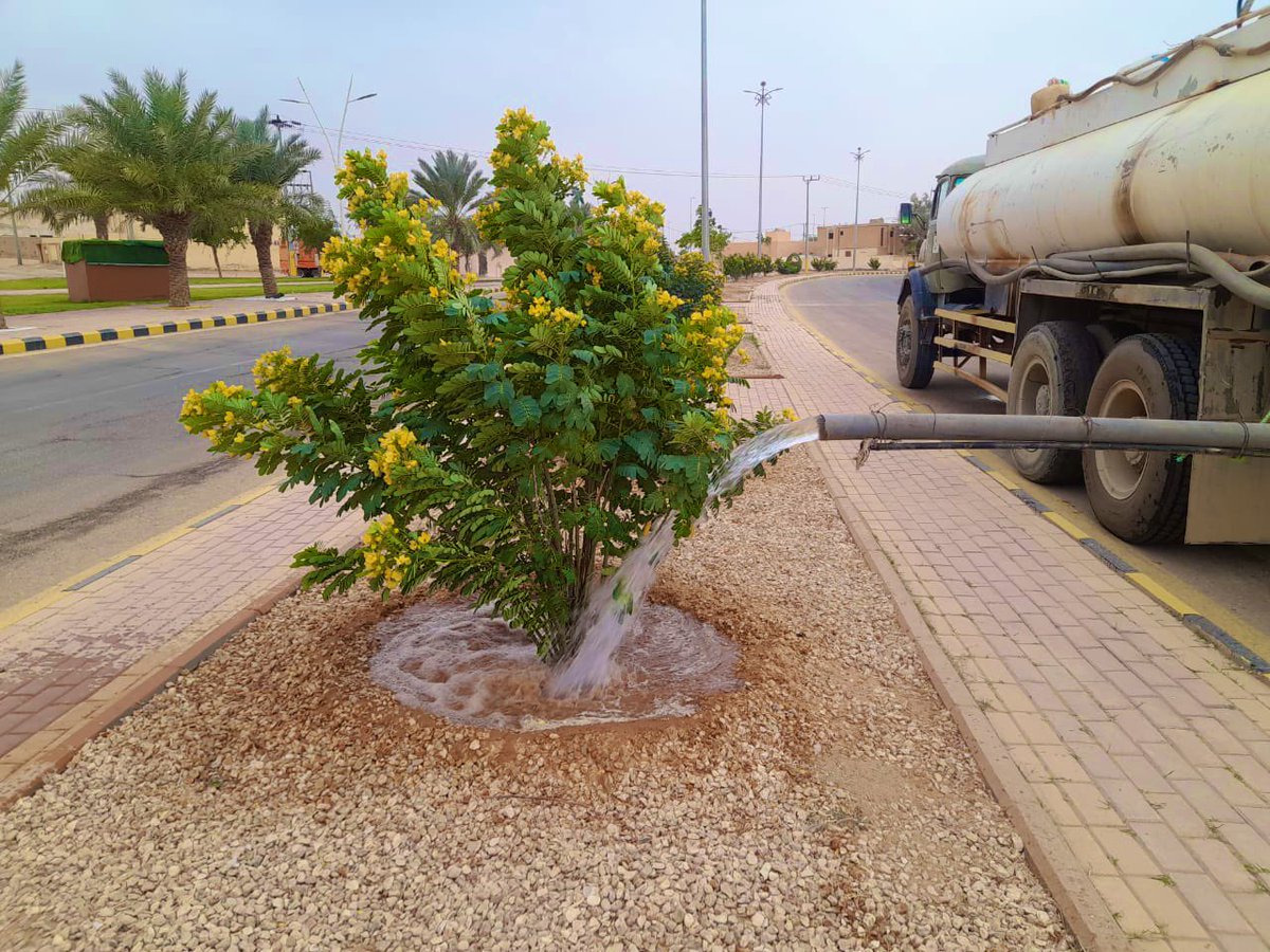 تواصل #بلدية_أم_خنصر أعمال سقيا الأشجار في الشوارع والميادين، حرصًا على استدامة الغطاء النباتي وتعزيز المظهر الحضري في المنطقة.

#بلدية_أم_خنصر #أمانة_منطقة_الحدود_الشمالية