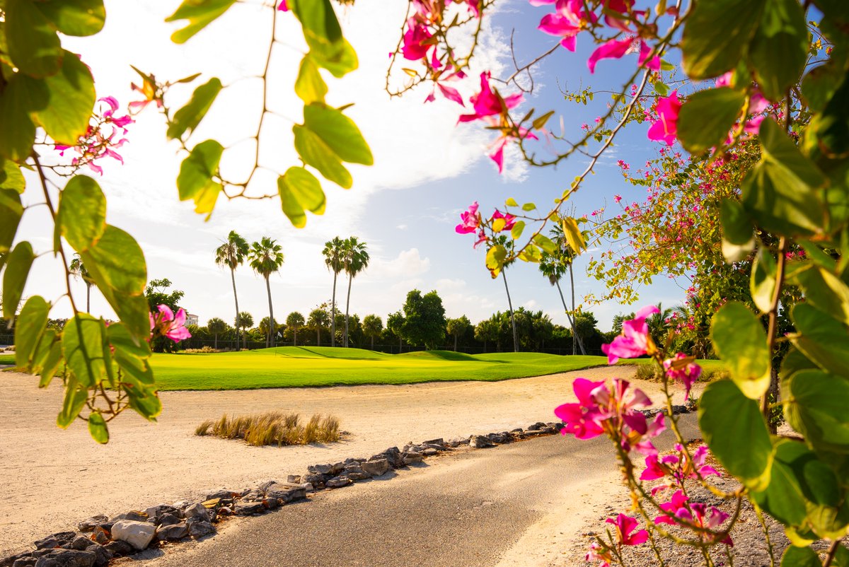 Early golf gets the work done. Tee off first thing and you can enjoy a smooth, quick round in under four hours, perfect fairways, and the best morning breeze on island.

#turksandcaicos #royalturksandcaicosgolf #providenciales #usatodays10best #numberone <a href="/connortieulie/">Connor Tieulie</a>