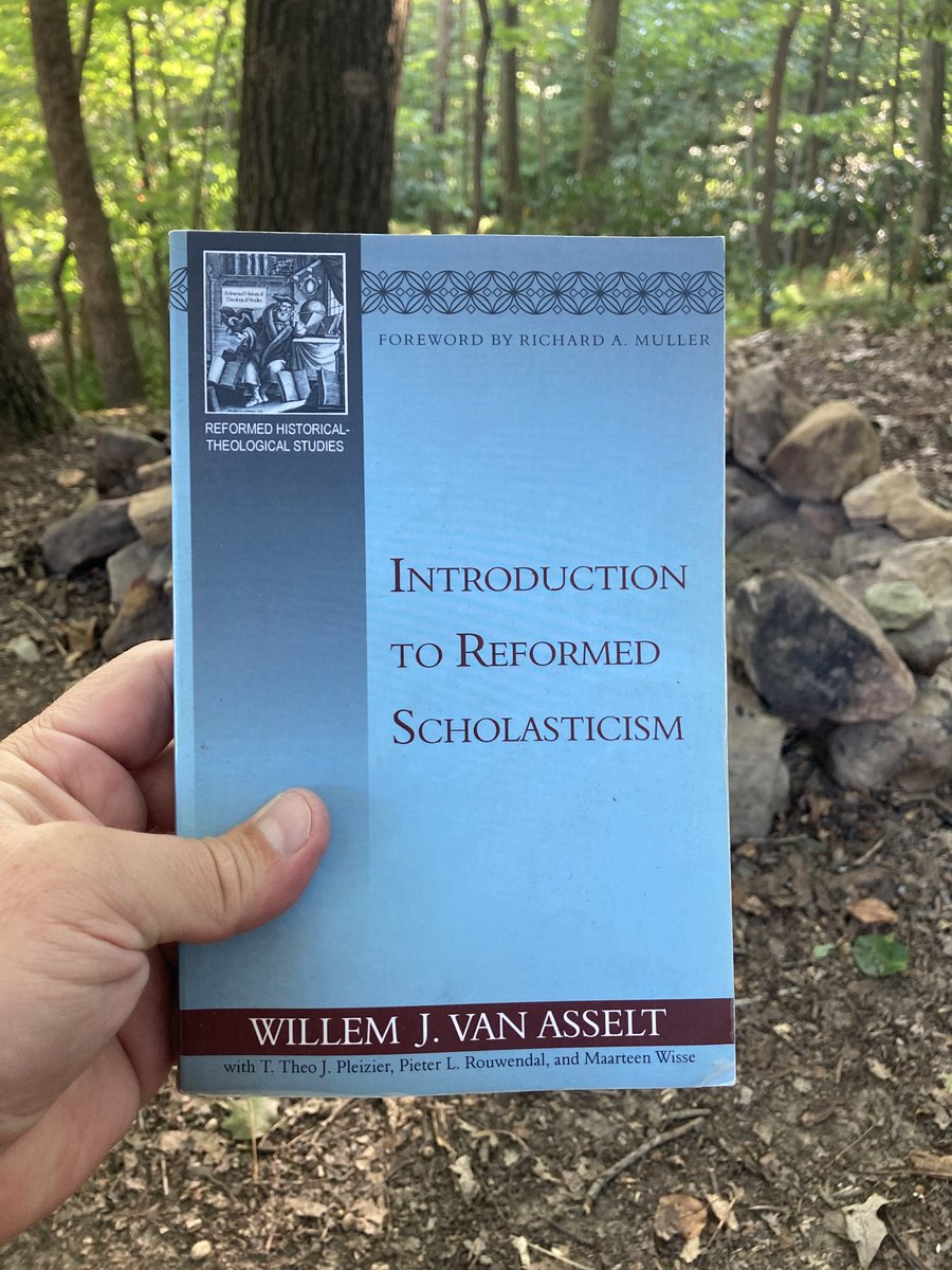 "While Amyraut posited that Christ hypothetically died for all, the Dort theologians taught that the sacrifice of Christ was sufficient for all but efficient only for the elect.  According to the Dort theologians, therefore, Christ died only for the elect."