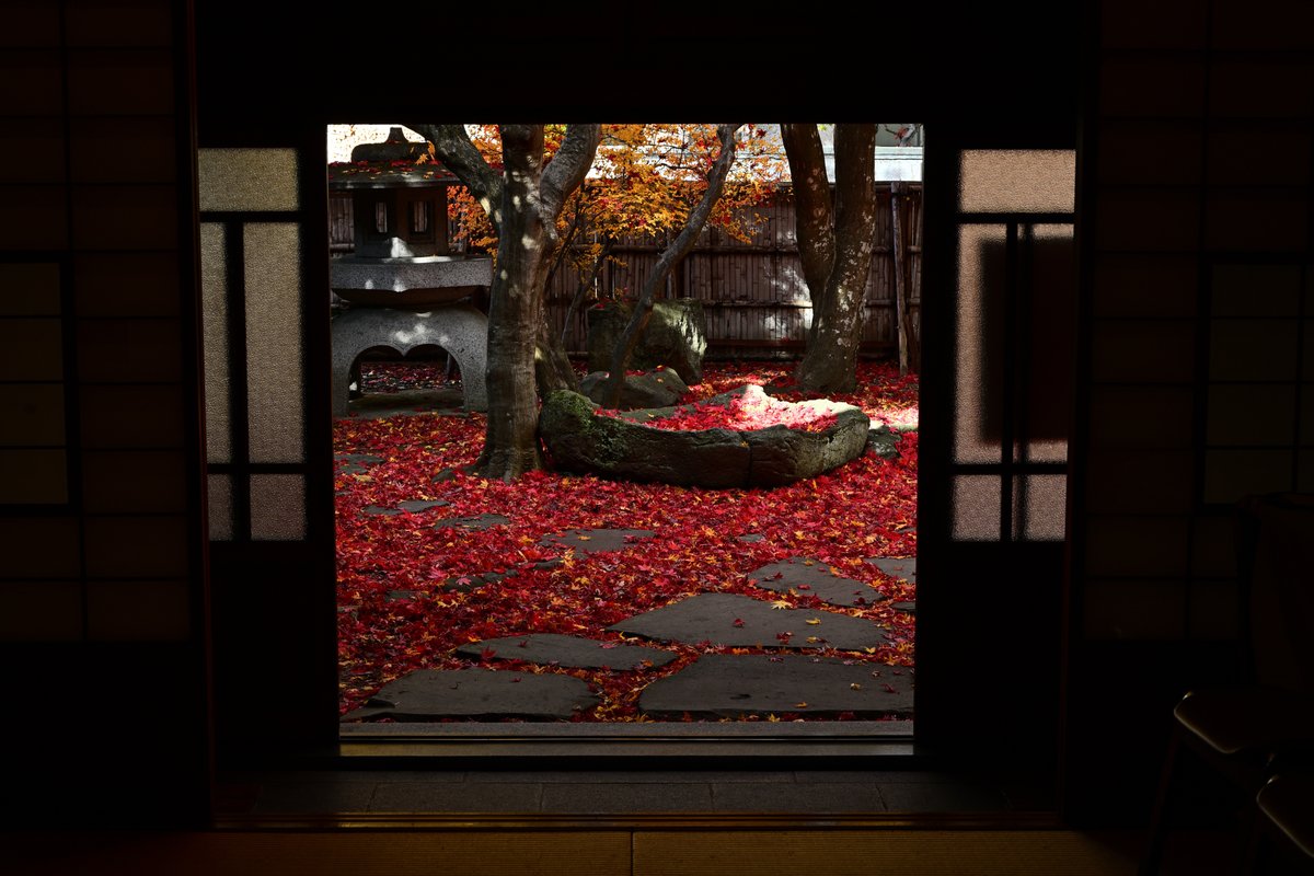 chageki's tweet image. 南昌荘の紅葉で今年の紅葉見納めとなりました。 plaza.rakuten.co.jp/shigekimb0515/… #r_blog 　#岩手 　#紅葉2025 　＃j紅葉　#盛岡 　＃南昌荘