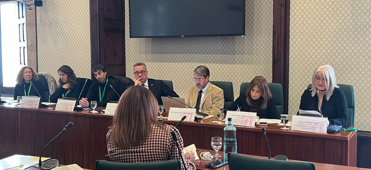 📢 Avui hem portat la veu del #TreballSocial a la Comissió d'Investigació sobre l'Activitat de la DGAIA que s'ha celebrat al <a href="/parlamentcat/">Parlament de Catalunya</a>.

Eva Giralt, secretària de Junta del #TSCAT, ha exposat les claus per repensar el nou sistema de protecció a la #infància i adolescència.