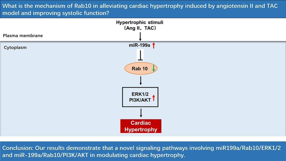JMCC Plus tweet media