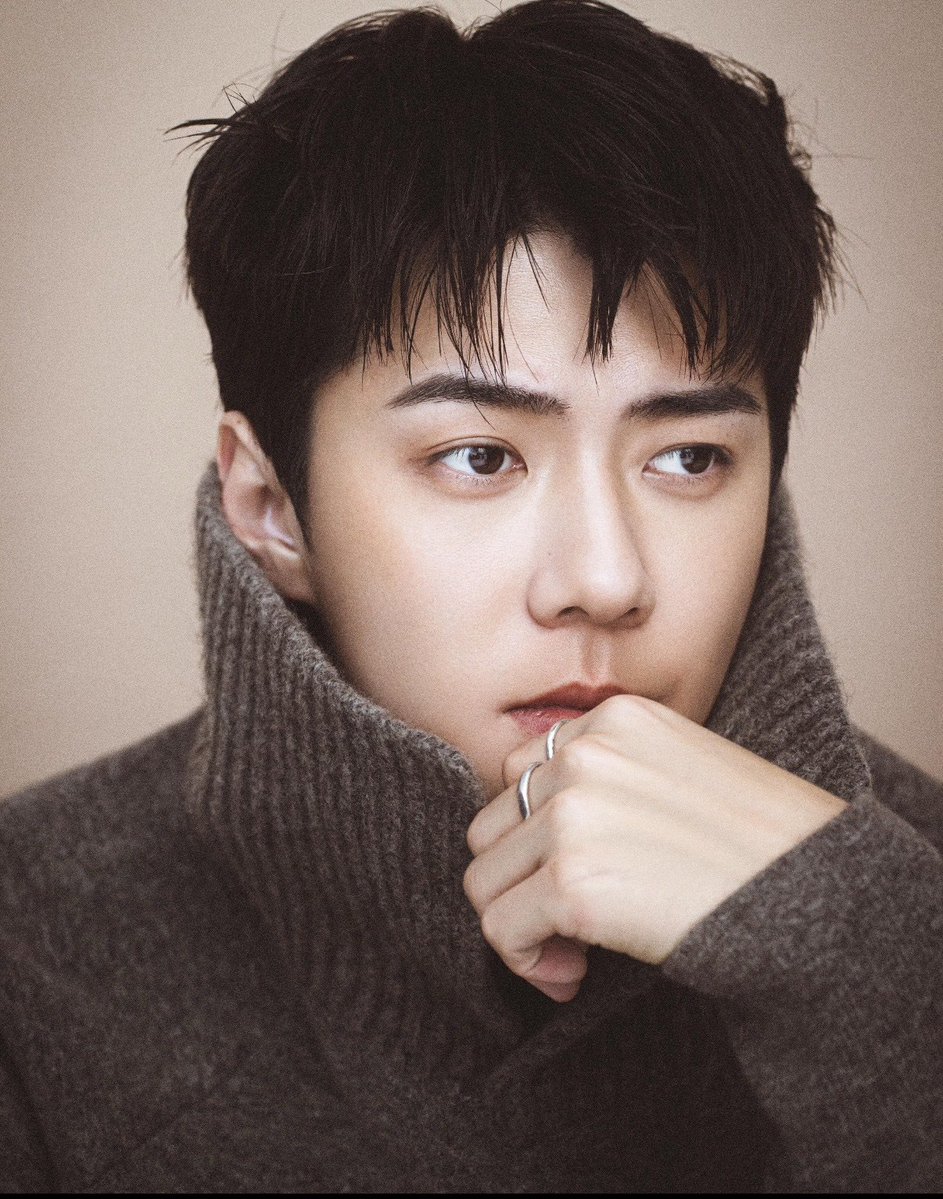 milkteus's tweet image. more unreleased photos of sehun from l’officiel china magazine! 🤎🍂