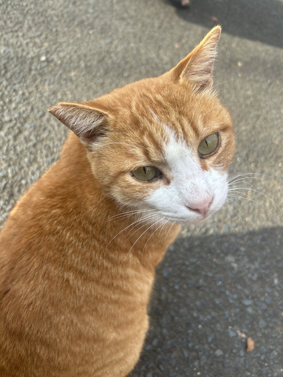音響スタッフで三日間 大分の中津に行ってました！ 温泉入って