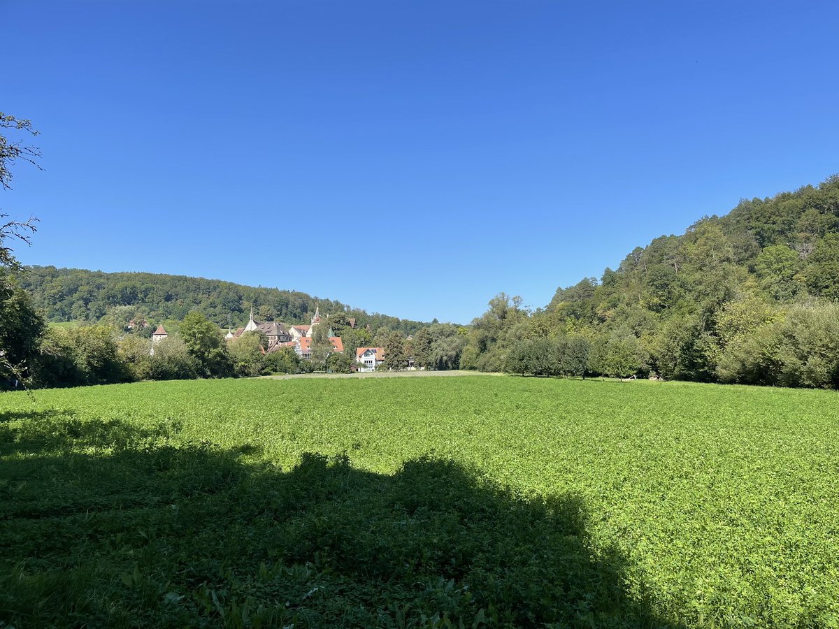 I walked gentle 
In the lap of Mother Earth 
She caressed my feet 
Made them shining 
Like the stars 
Of the nether sky 
My suave nature 
Come from nature 
From Mother Earth 
#vss365 #Gentle #mother #nature #stars #sky #suave