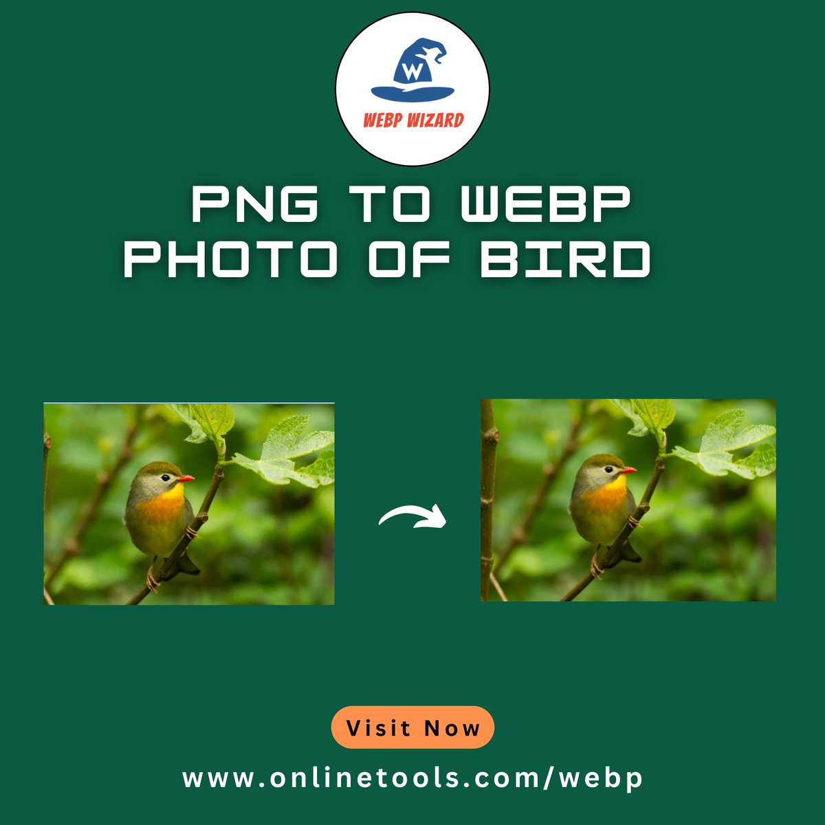 WebpWizard's tweet image. Give your bird photos wings online — convert PNG to WebP for faster loading!
Try our tool: onlinetools.com/webp/convert-p…
#browserling #WebP #GiftToNature #WebDesign #explorepage #jjk267 #SEO #DNC2024 #TheyCallHimOG #OnlineTools #x #LA28 #IndustryHBO